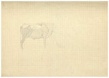 Visualizza l'immagine "FD Album 3, 24 v."